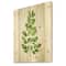Designart - Moringa Branch Tropical Tree Foliage - Farmhouse Print on Natural Pine Wood